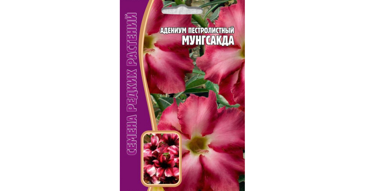 Магазин Семян Адениумов Купить